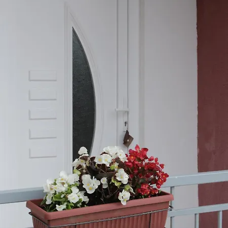 Zora S Bazenom Sa Slanom Vodom - Nova Sezona!