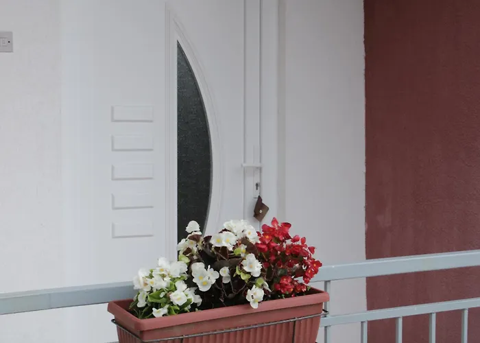 Zora S Bazenom Sa Slanom Vodom - Nova Sezona!